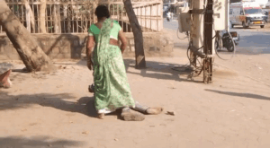 VID-20230330-WA0016_1