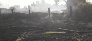 VID-20230405-WA0008_1