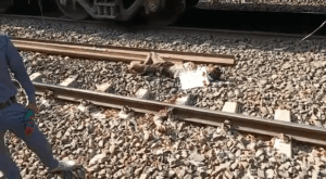 VID-20230412-WA0027_1