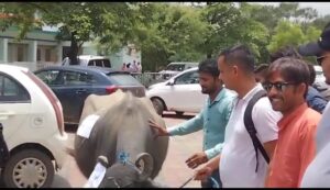 VideoCapture_20230802-104127