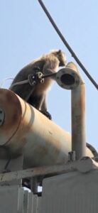 VideoCapture_20240320-205430