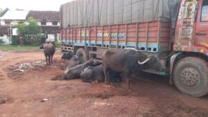 VideoCapture_20240929-213542