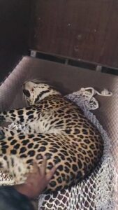 Videoshot_20251210_094042